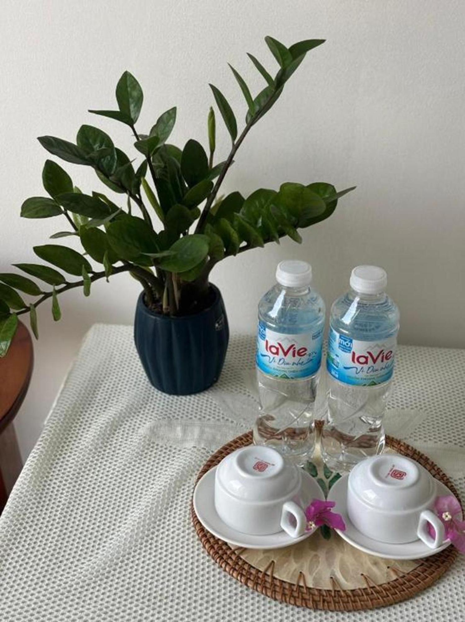 Good Morning Hoi An Homestay And Hostel Ngoại thất bức ảnh
